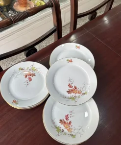 Juego de 12 platos de postre porcelana verbano